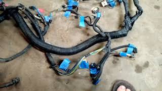Budget LS Swap, standalone wiring harness part 1