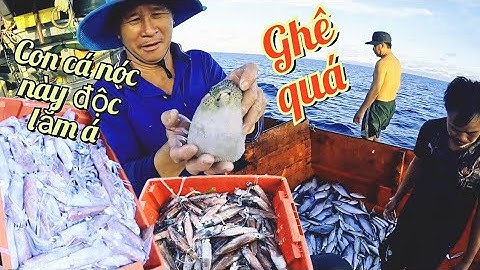 Cá Thì Mất Dấu,Mực Ống Thì Quá Tay  |Đánh Cá 2025 - Tập 30 | Sóng Biển Hứa Đông