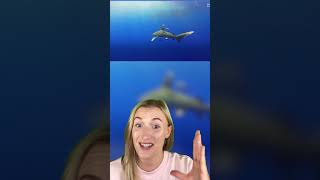 HOW TO SURVIVE A SHARK ATTACK!🦈