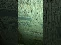 пароизоляция через 10 лет