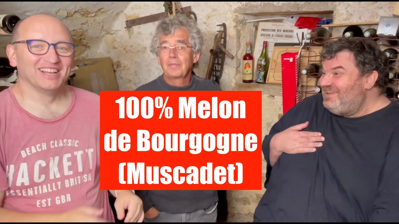 Dégustation vin Melon de Bourgogne Muscadet Jérémie Huchet