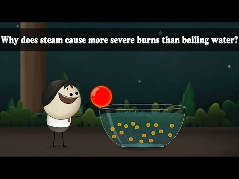 Why does steam cause more severe burns than boiling water? | aumsum kids science