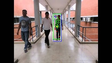 SURF-based Visual Tracking of a Non-rigid Object With Online Template Generation