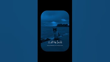 تلاوة تهز القلوب 😢  لا أقسم بهذا البلد | صوت خاشع يأخذك لعالم آخر 🌙 #قرآن_كريم #quran  #تلاوة_خاشعة