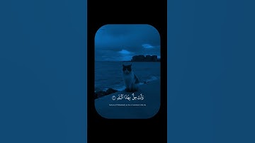 تلاوة تهز القلوب 😢  لا أقسم بهذا البلد | صوت خاشع يأخذك لعالم آخر 🌙 #قرآن_كريم #quran  #تلاوة_خاشعة