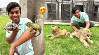 Leo Sy Milna Agea 😍 Exotic Animals Dakha 😱