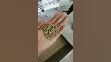 Floating Fish Feed Pellet Machine  700-800KG/H