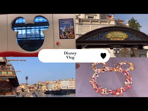 Vlog Disney Land Disney Sea Youtube