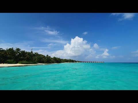 Video: Kuramathi Saar Maldiividel
