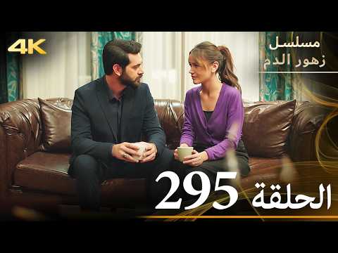 الحلقة 295 مسلسل زهور الدم مدبلج بالعربية Kan Çiçekleri جودة 4K