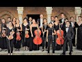 Capture de la vidéo Mozart Kreisler Monti Strauss · Full Concert · Horst Sohm & Festival Chamber Orchestra Of Europe