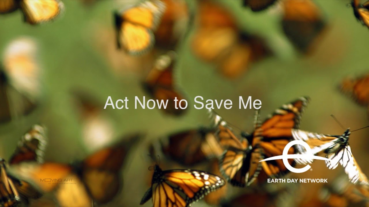 tahoe 215 Earth Day PSA Pollinators