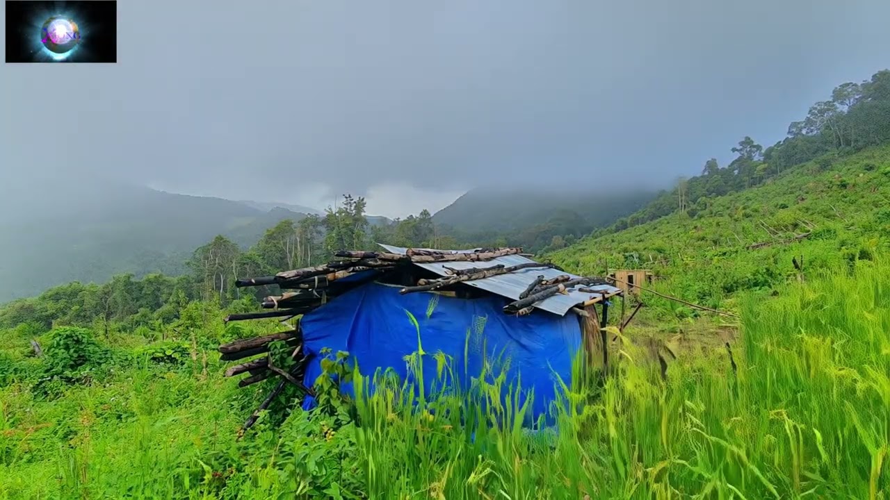 ЖЕНЩИНЫ СМОЖУТ ЖИТЬ В МИРЕ