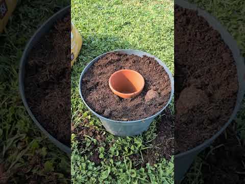 Vidéo YouTube