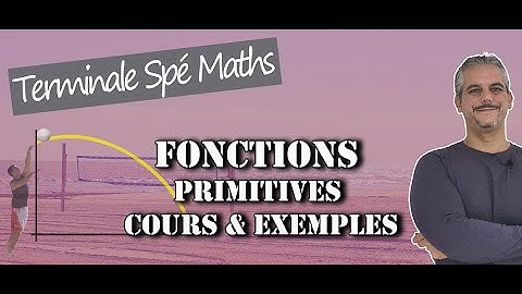 Primitives – Cours et exemples