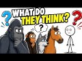What Do Animals Think Of Humans? (learn)