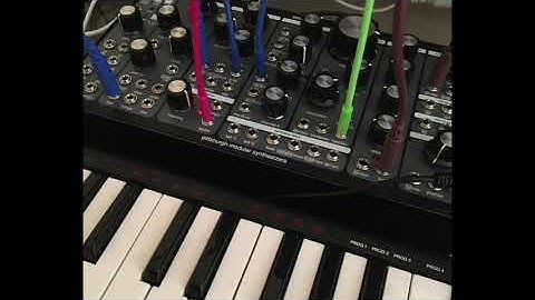 New Lifeforms - Synth Jam