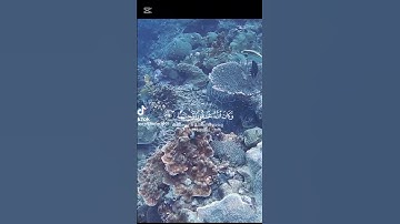 تلاوه خاشعه وكان الله غفور رحيم استمتع بتلاوه القران