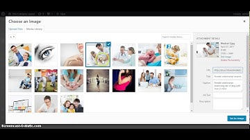 How to Add ALT Text in Image Module for DIVI Theme