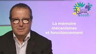 Les mécanismes moléculaires de la mémoire, par Daniel Choquet