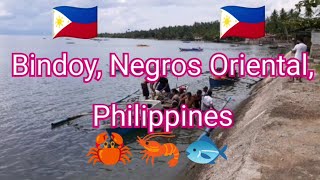 Bindoy, Negros Oriental, Philippines 🇵🇭
