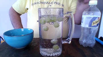 Science Experiment - Grapes and Seltzer Water with Mr. Rodriguez