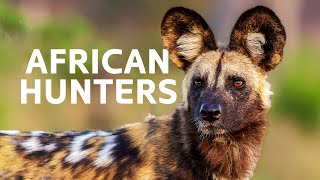 Wild Dogs: Tracking The Most Successful Hunter Across The African Wilderness