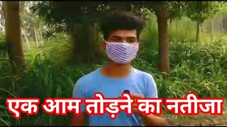 एक आम तोड़ने का नतीजा क्या होता हा उसके बाद क्या हुआ आप खुद देख लीजिए DHAKAD REPORTER | A V S