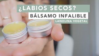 ADIÓS LABIOS SECOS Y AGRIETADOS | Lanolina vegetal