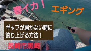 【エギング】春イカサイズ！ギャフが届かない時は、こうやって釣り上げます！！長崎市黒崎