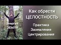 Как обрести Целостность!? Практика Заземления Центрирования. Самообладание Спокойствие и Уверенность