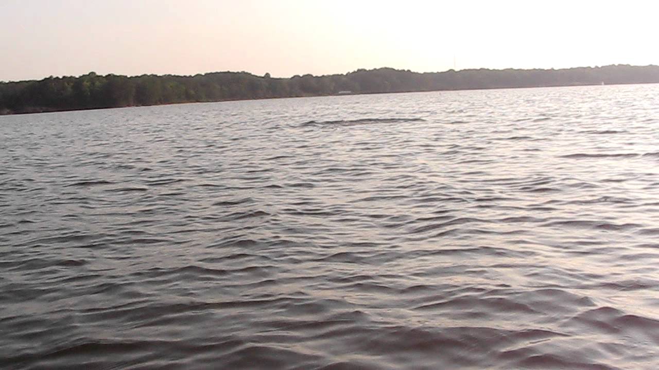 Great Wicomico River