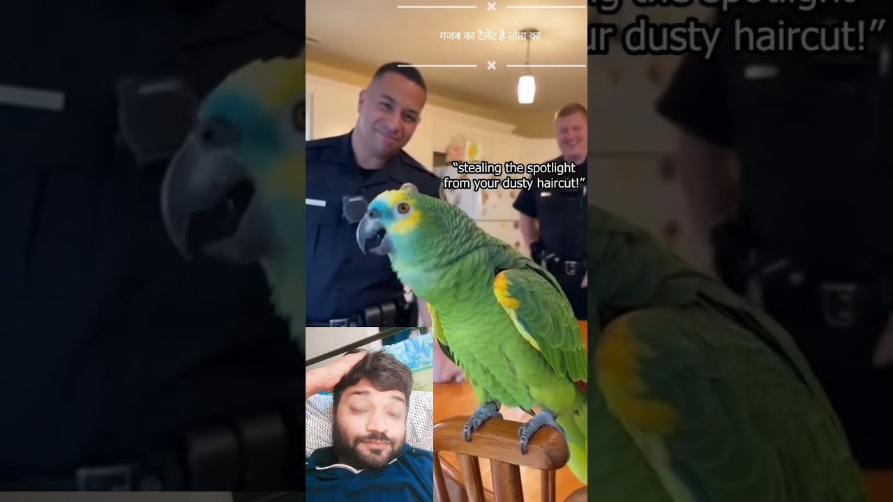 American police arrest Parrot 🤣 