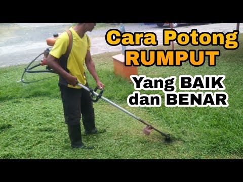 Video: Bagaimana Menggunakan Rumput Potong Di Negara Ini? Apa Yang Perlu Dilakukan Dengan Rumput Setelah Memotong Rumput? Apa Yang Perlu Dilakukan Dan Adakah Ia Harus Dibersihkan?