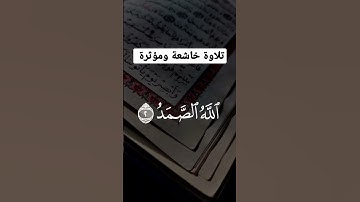 تلاوة خاشعة ومؤثرة #تلاوة_خاشعة #القرآن_الكريم #القران #instagram #فلسطين #هل_تعلم #shortvideo
