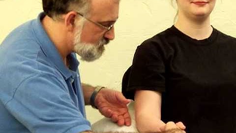Forearm Flexors Trigger Point Richard Finn LMT, CMTPT, MCSTT Pittsburgh