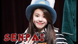 TWICE Chaeyoung | S E N P A I