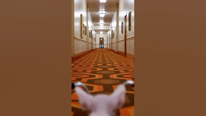 Video 11725901: sphynxcat
