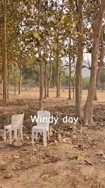 Very windy 🥺 summer has come so soon 😏  #windy #windsounds   OMD155