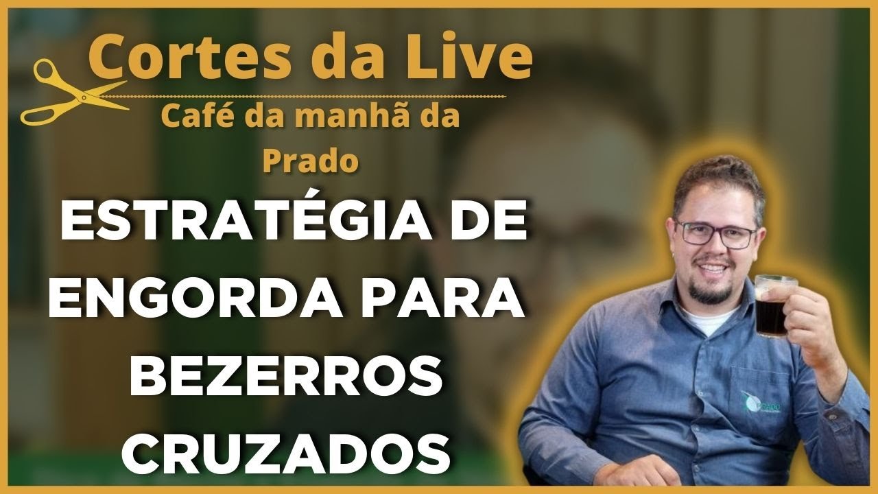Vale a pena SUPLEMENTAR BEZERRO CRUZADO com PROTEINADO?