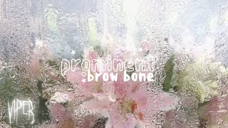 prominent brow bones.