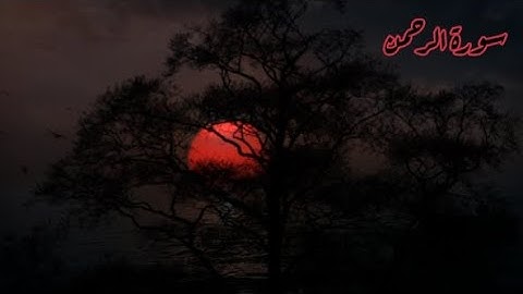 ارح سمعك.. تلاوة هادئة تريح القلب والعقل | سورة الرحمن القارئ حسام الدین عبادي || Surah Ar-Rahman