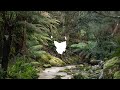 A Small Modern Cabin In North East Tasmania Just Down The Road Branxholm Full Airbnb Tour A Small Modern Cabin In North East Tasmania Just Down The Road Branxholm Full Airbnb Tour