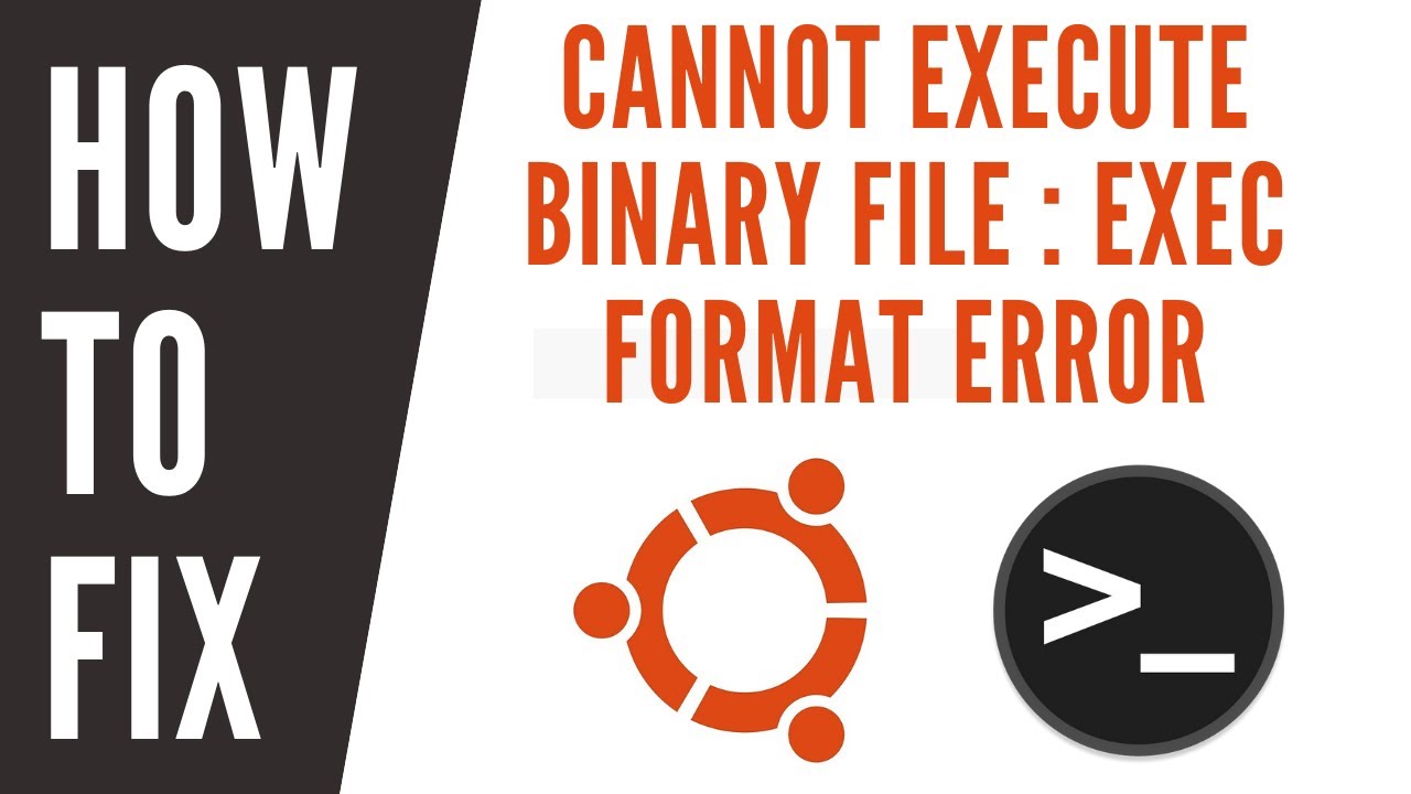 Cannot exec. Cannot execute.