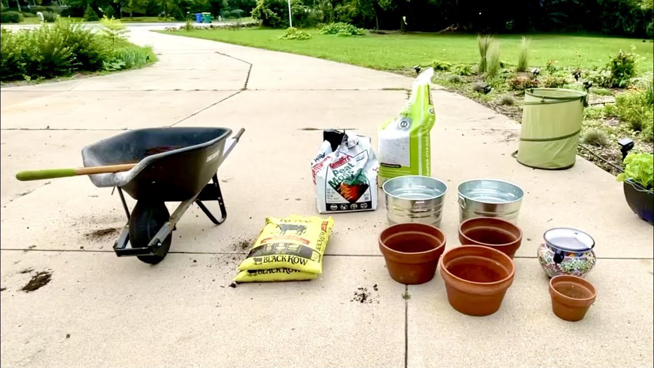 Storm clean up, Garden update, and Planting Fall harvest // Bog Life ...