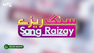 Talk Show Program Logo Animation Template