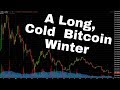 This Guy predicted the Price of Bitcoin in 2015!