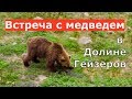 Встреча с медведем в Долине Гейзеров