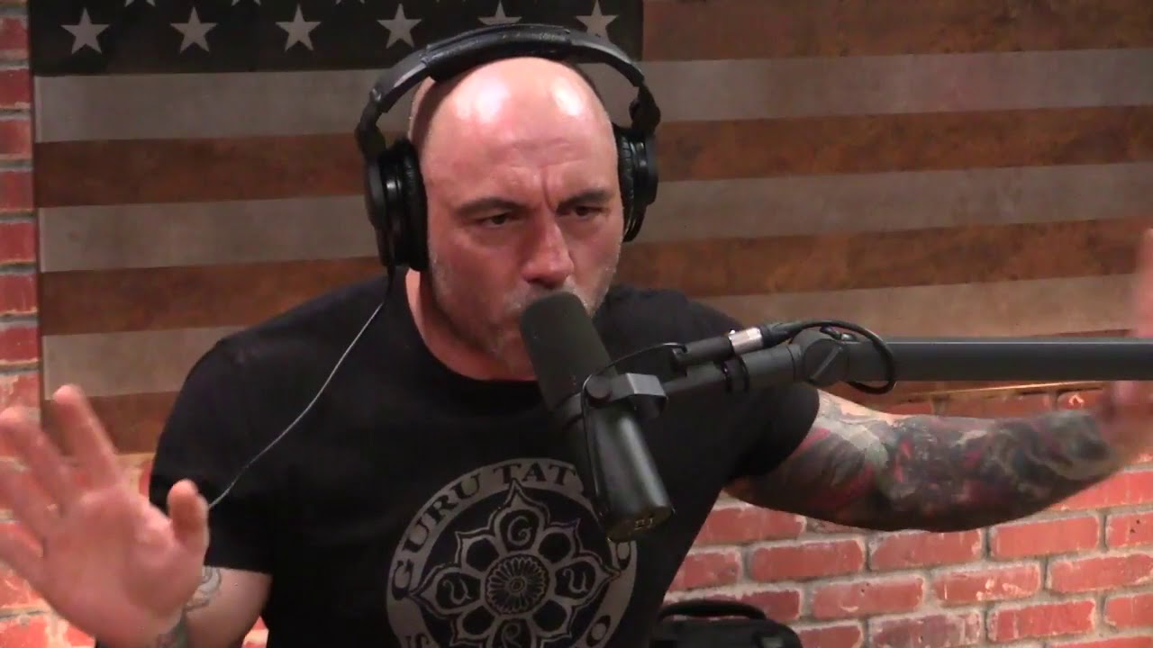 Joe Rogan - Psychedelics May Show You Things You Don't Want to See ...