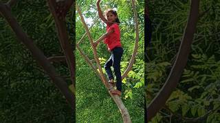 Himesh Rashmmiya Shivangi Varma